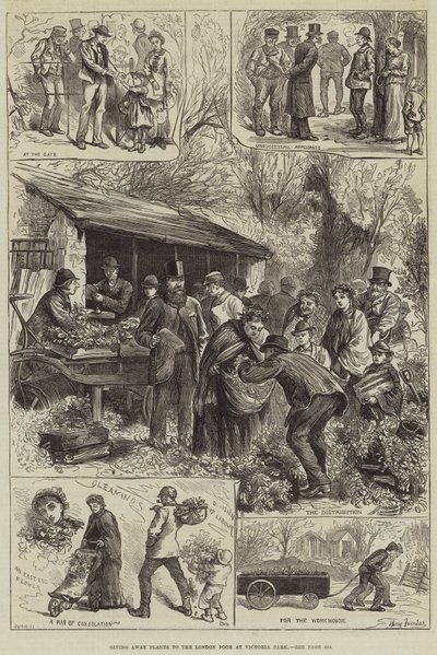 Distribution de plantes aux pauvres de Londres au parc Victoria - Harry Furniss